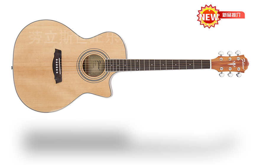 山东劳立斯世正乐器有限公司 FG50C 